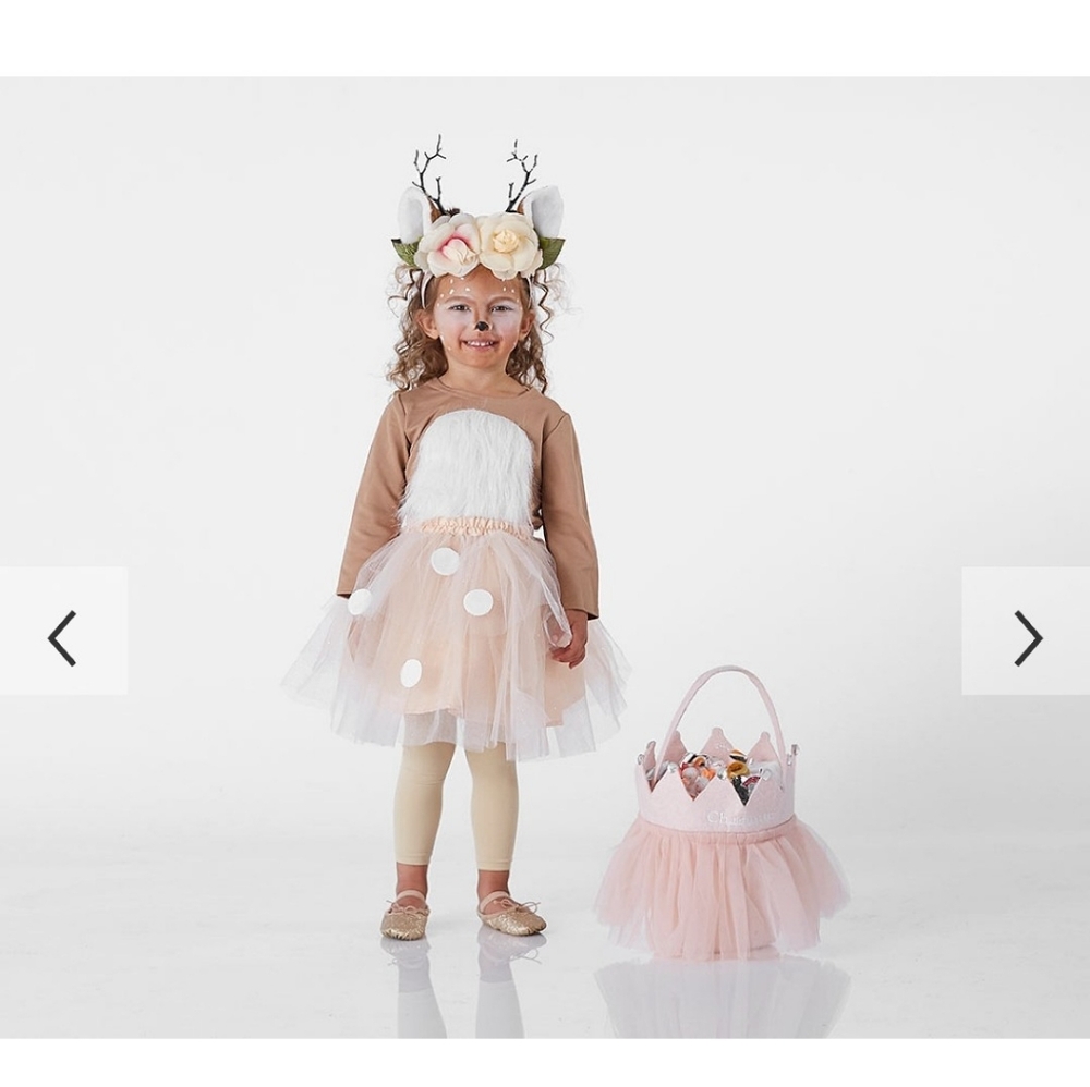 Pottery Barn Kids Woodland Deer Costume 3T